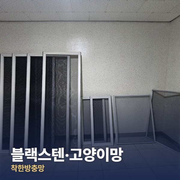 일산 블랙스텐·고양이망